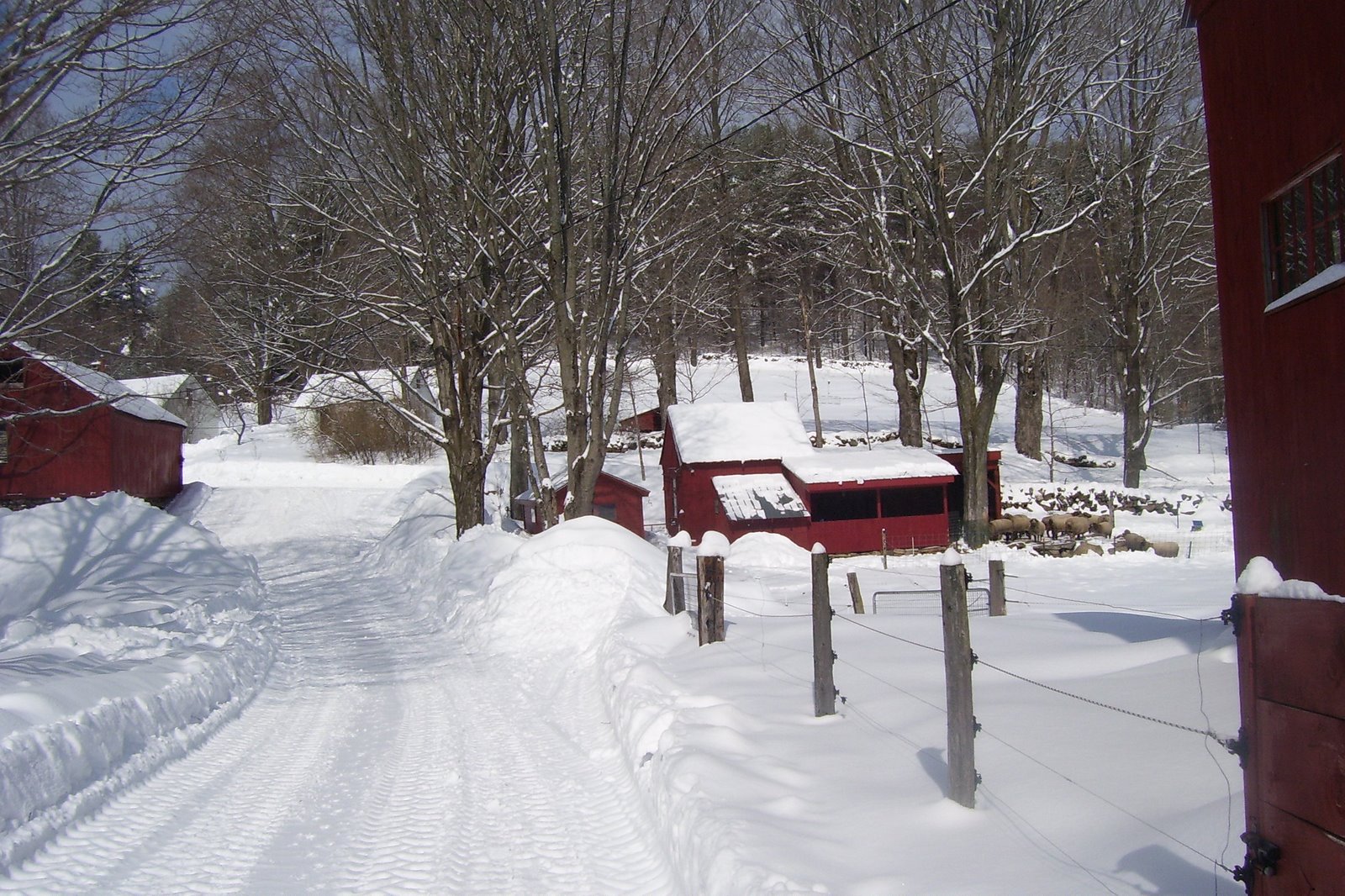 [Winter+2008+397.jpg]