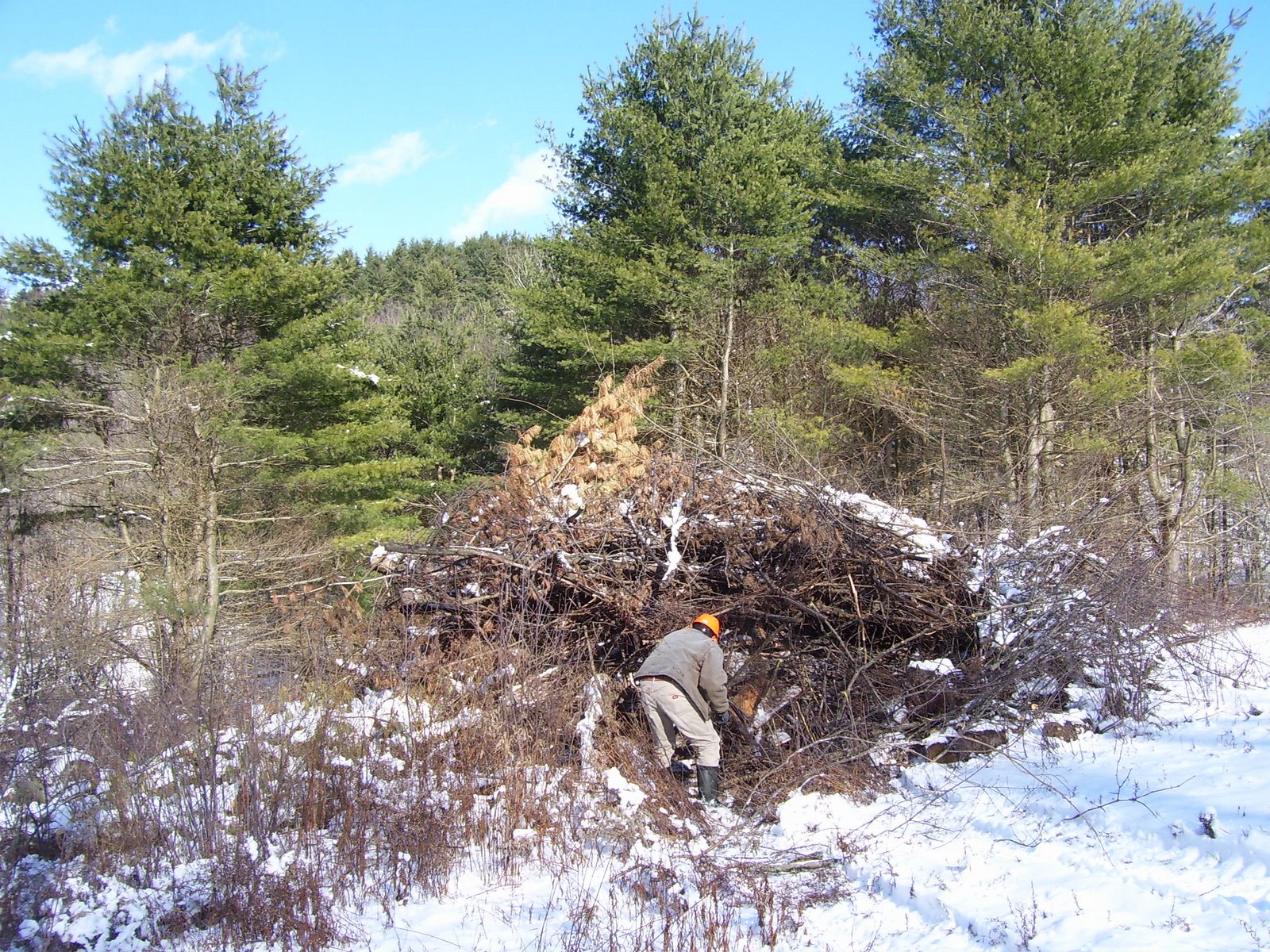 [winter+06+053.jpg]