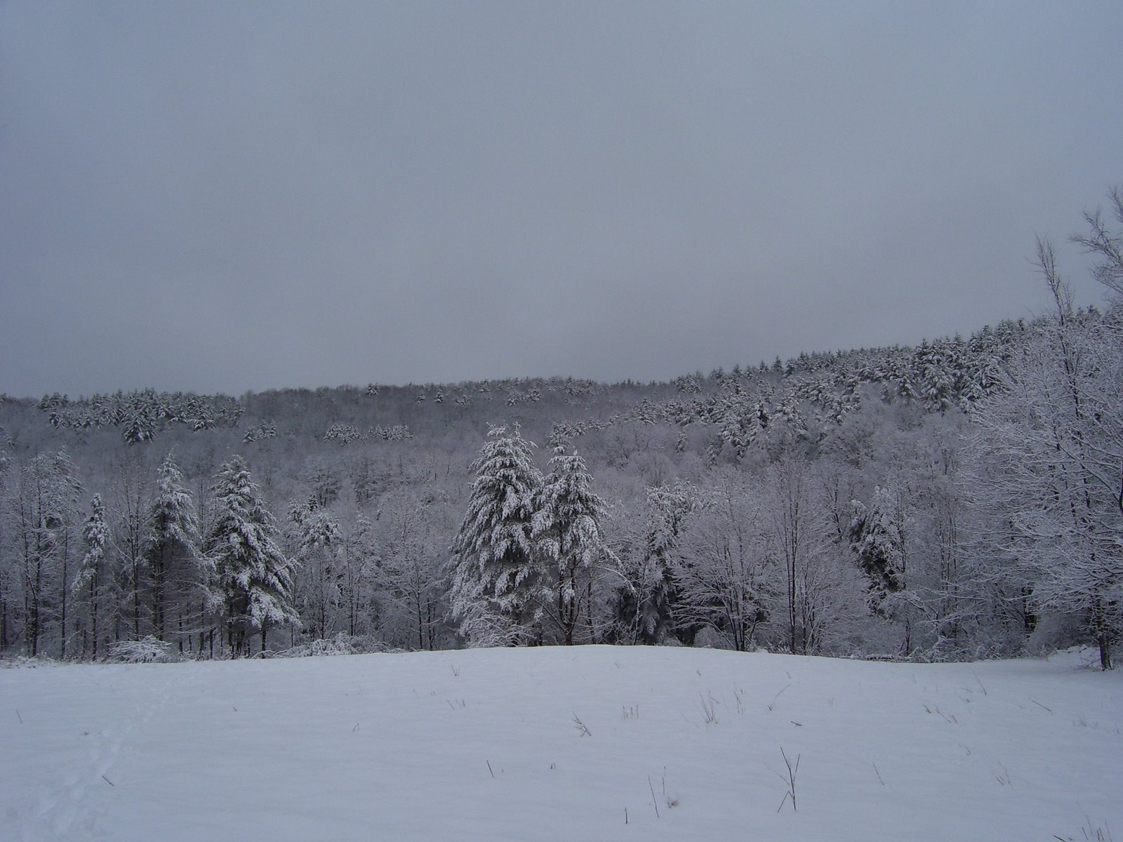 [Spring+07+147.jpg]