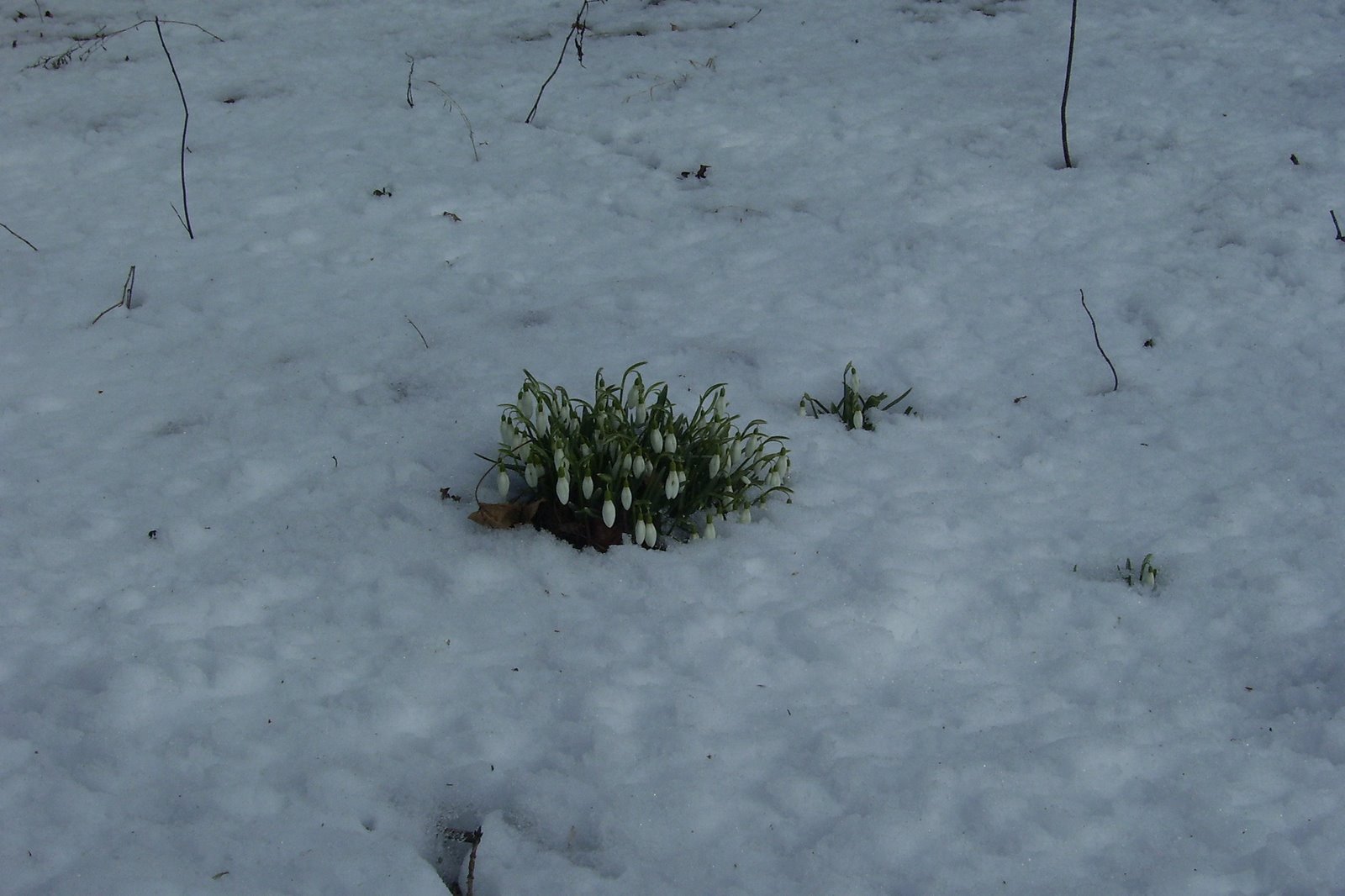 [Spring+07+171.jpg]