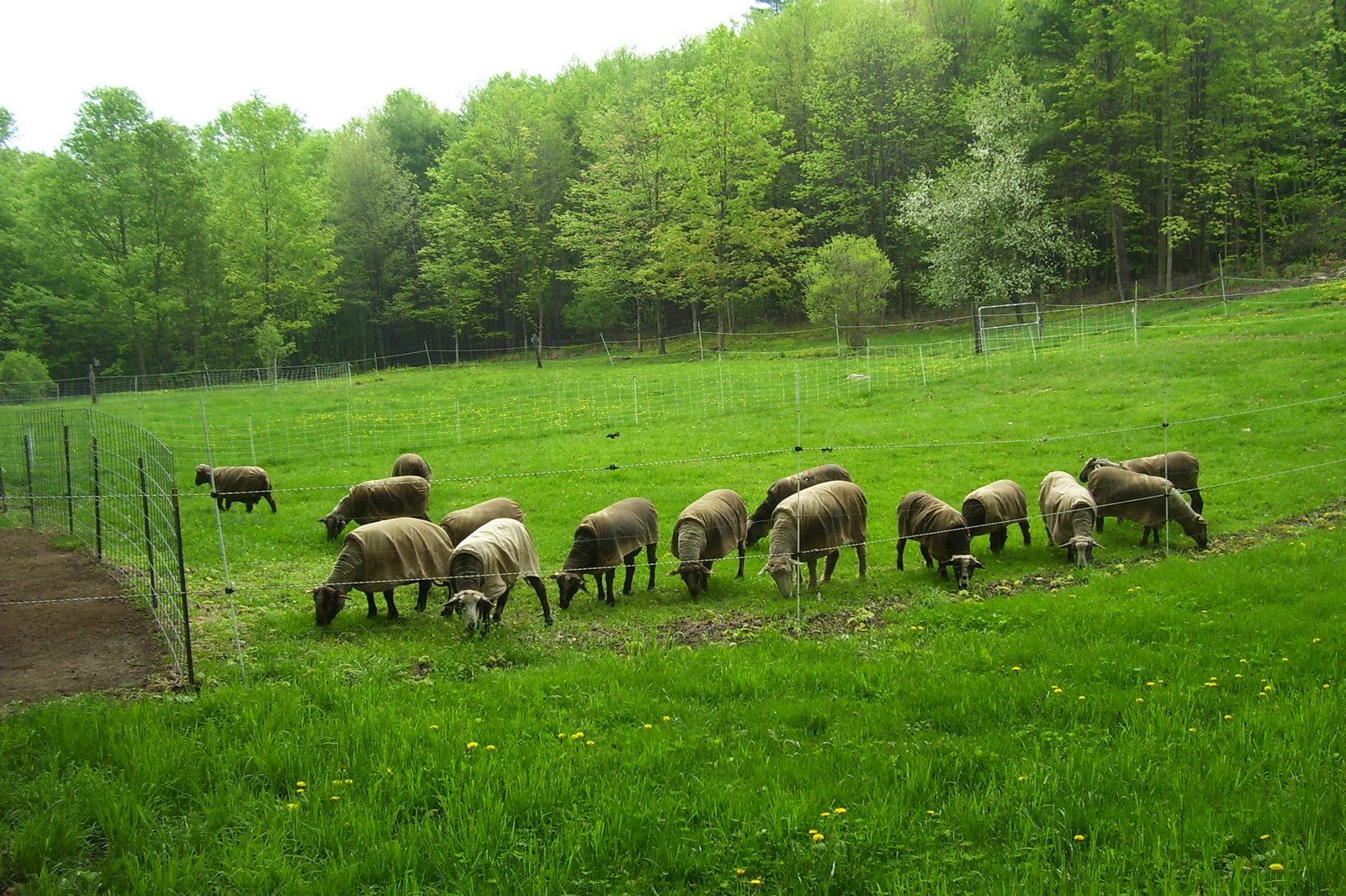 [Spring+07+246.jpg]