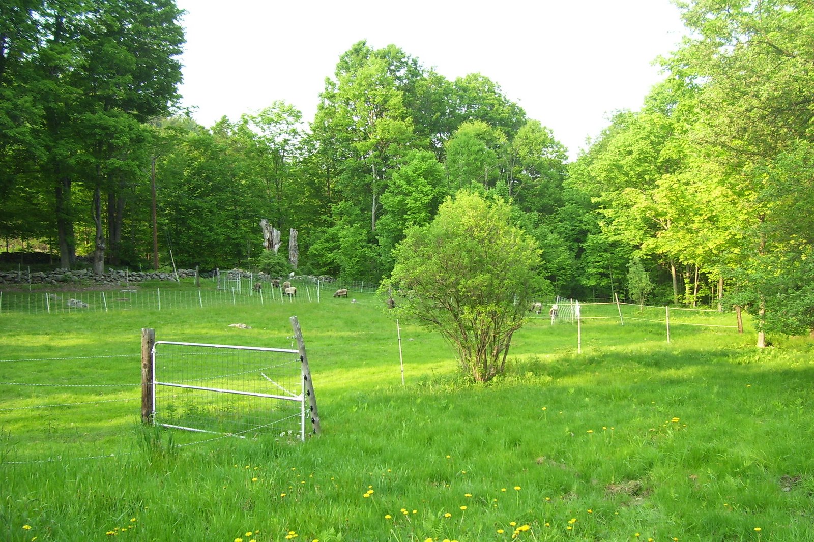 [Spring+07+273.jpg]