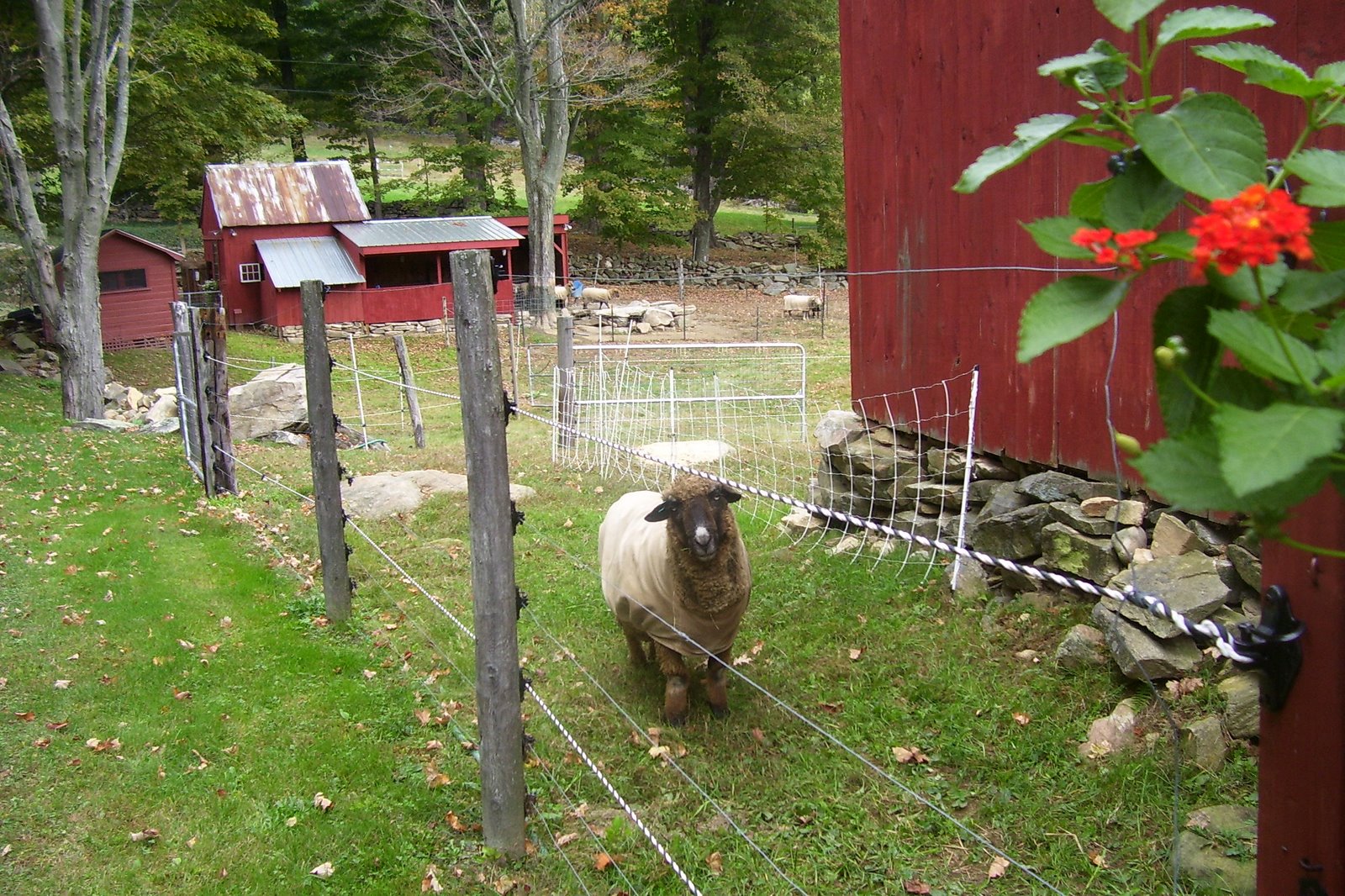 [Fall+2007+046.jpg]