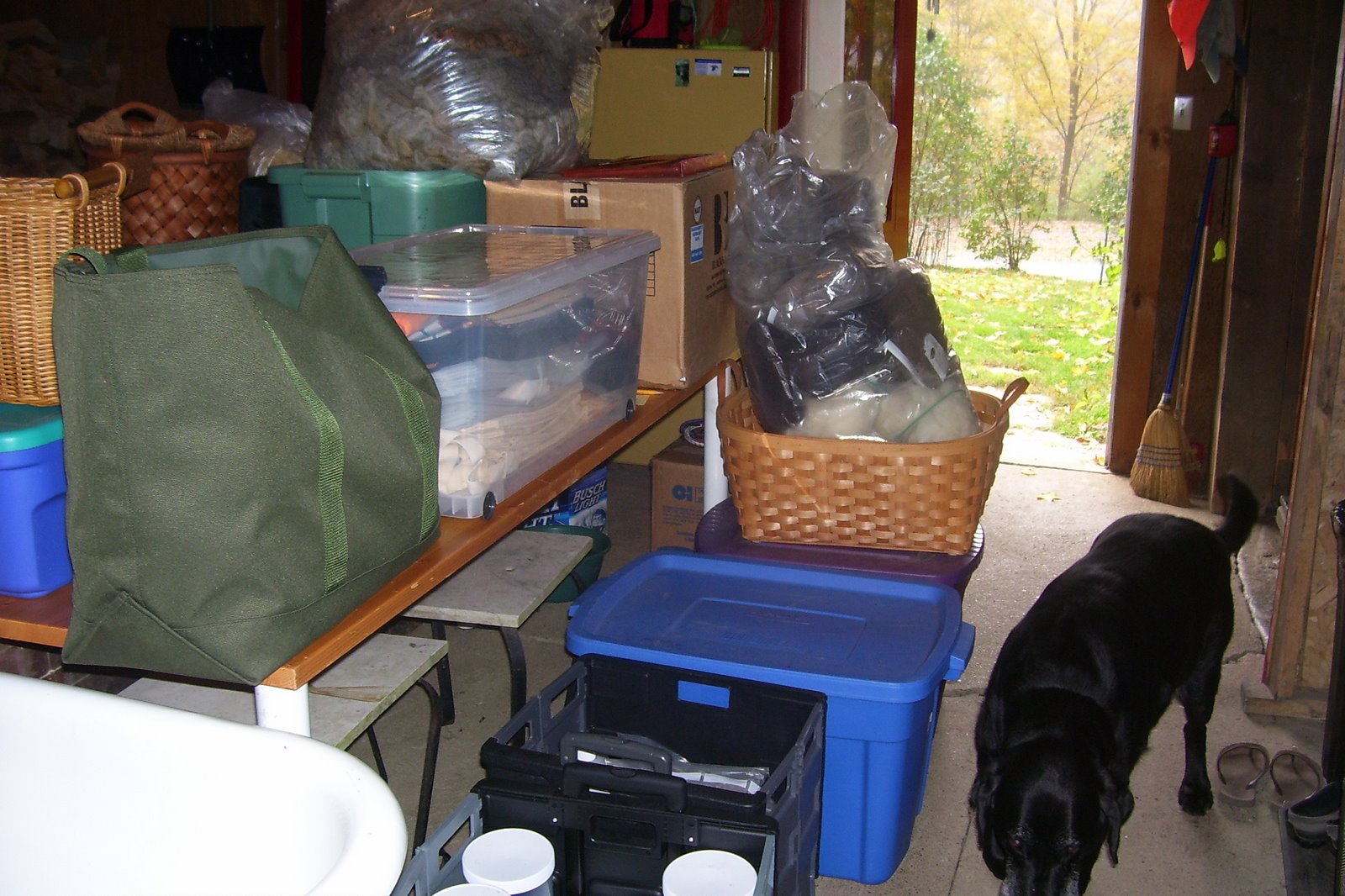 [Rhinebeck+10+07+008.jpg]