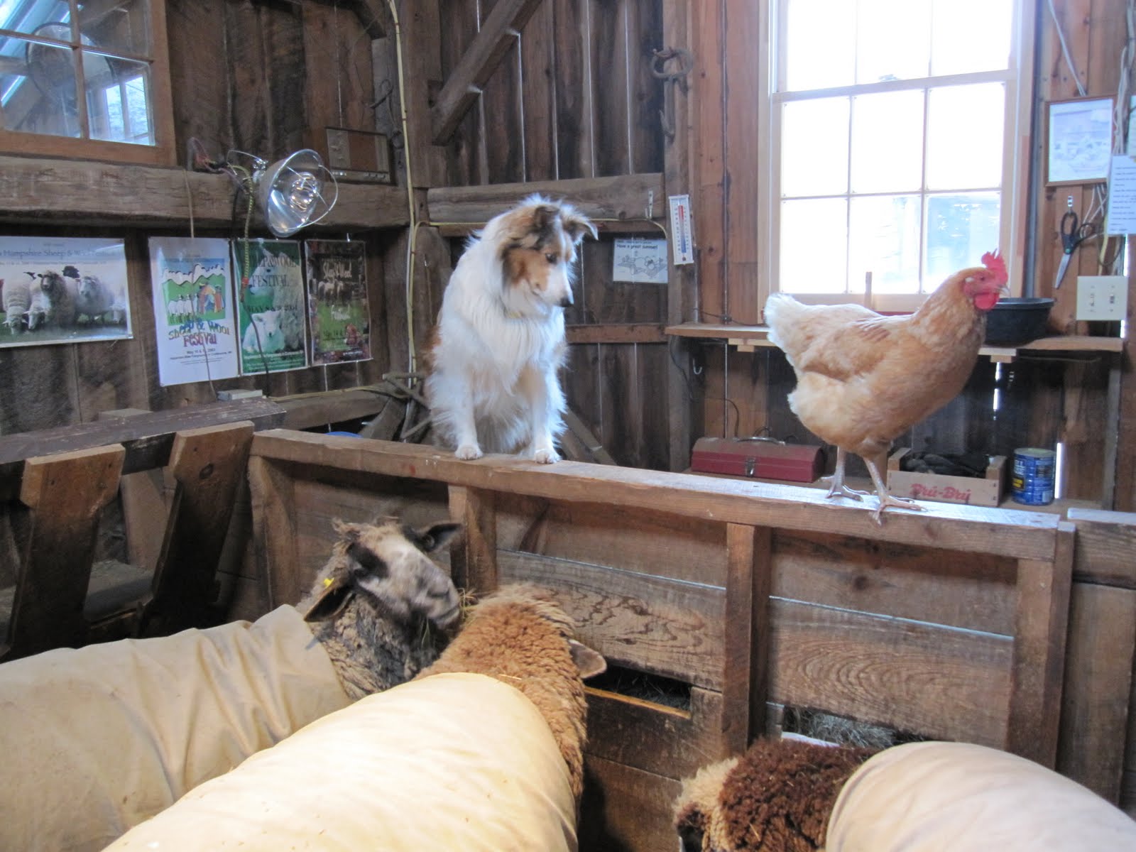 [manage+the+barn.jpg]