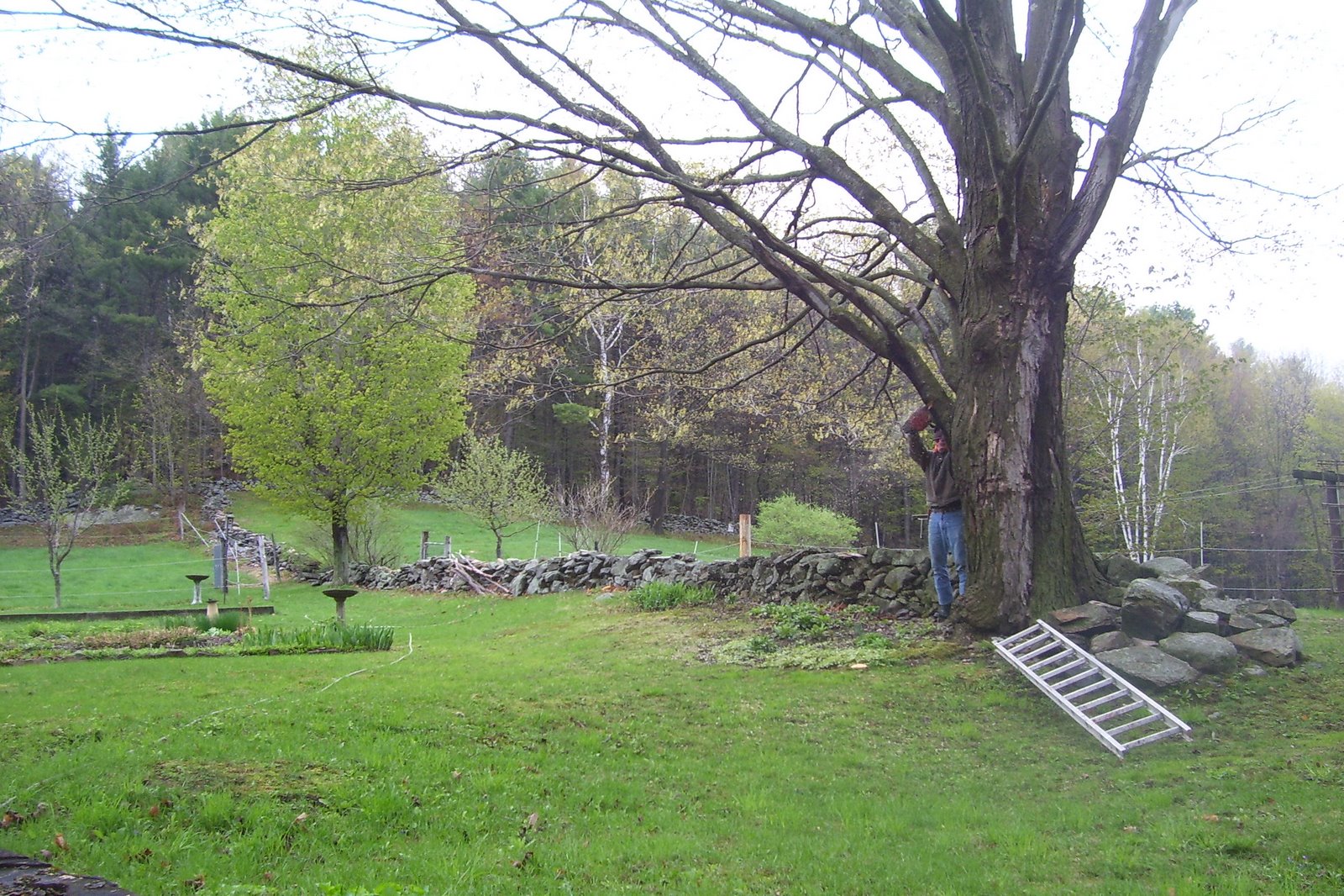 [Spring+2008+072.jpg]