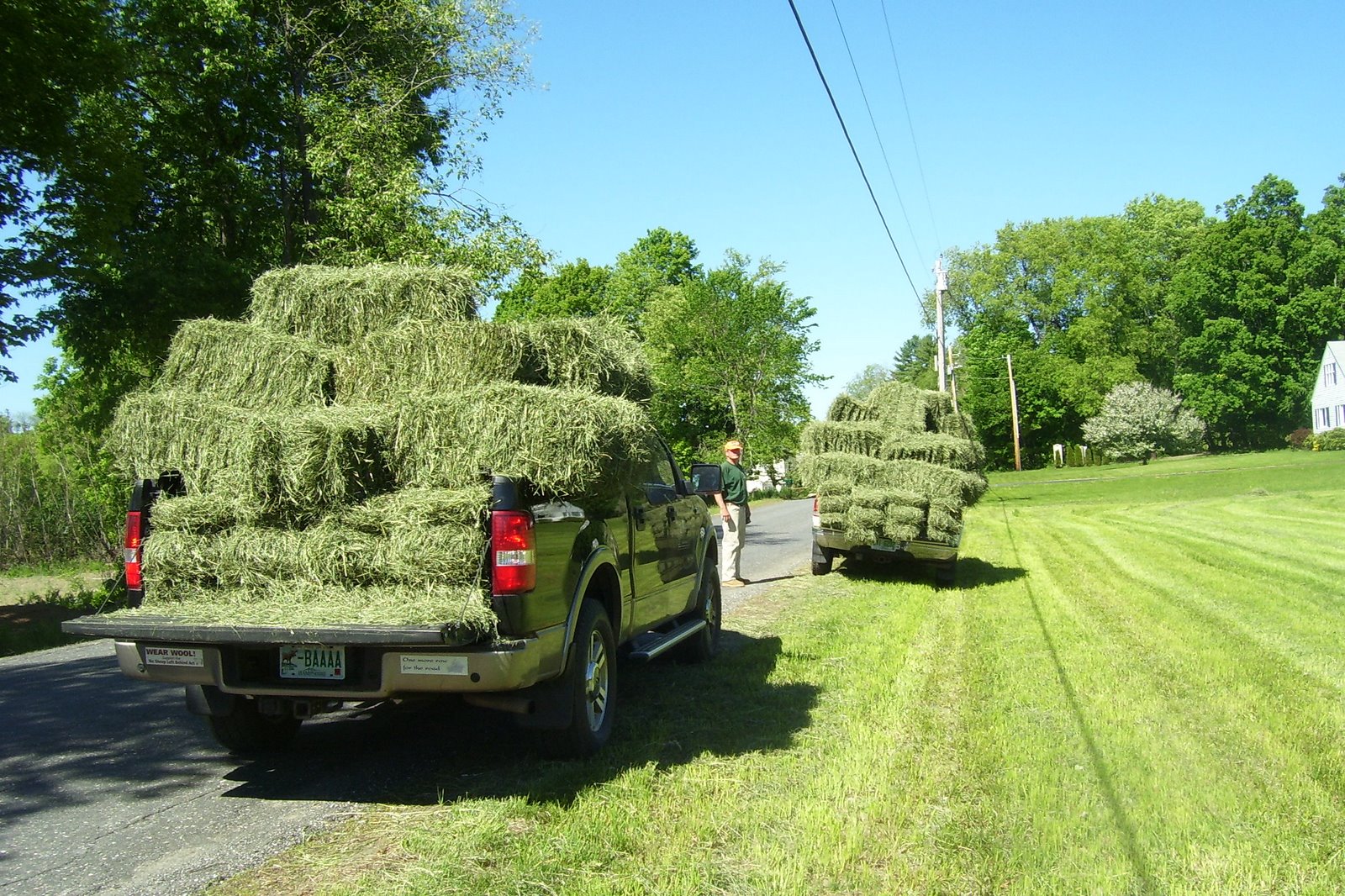 [Spring+2008+134.jpg]