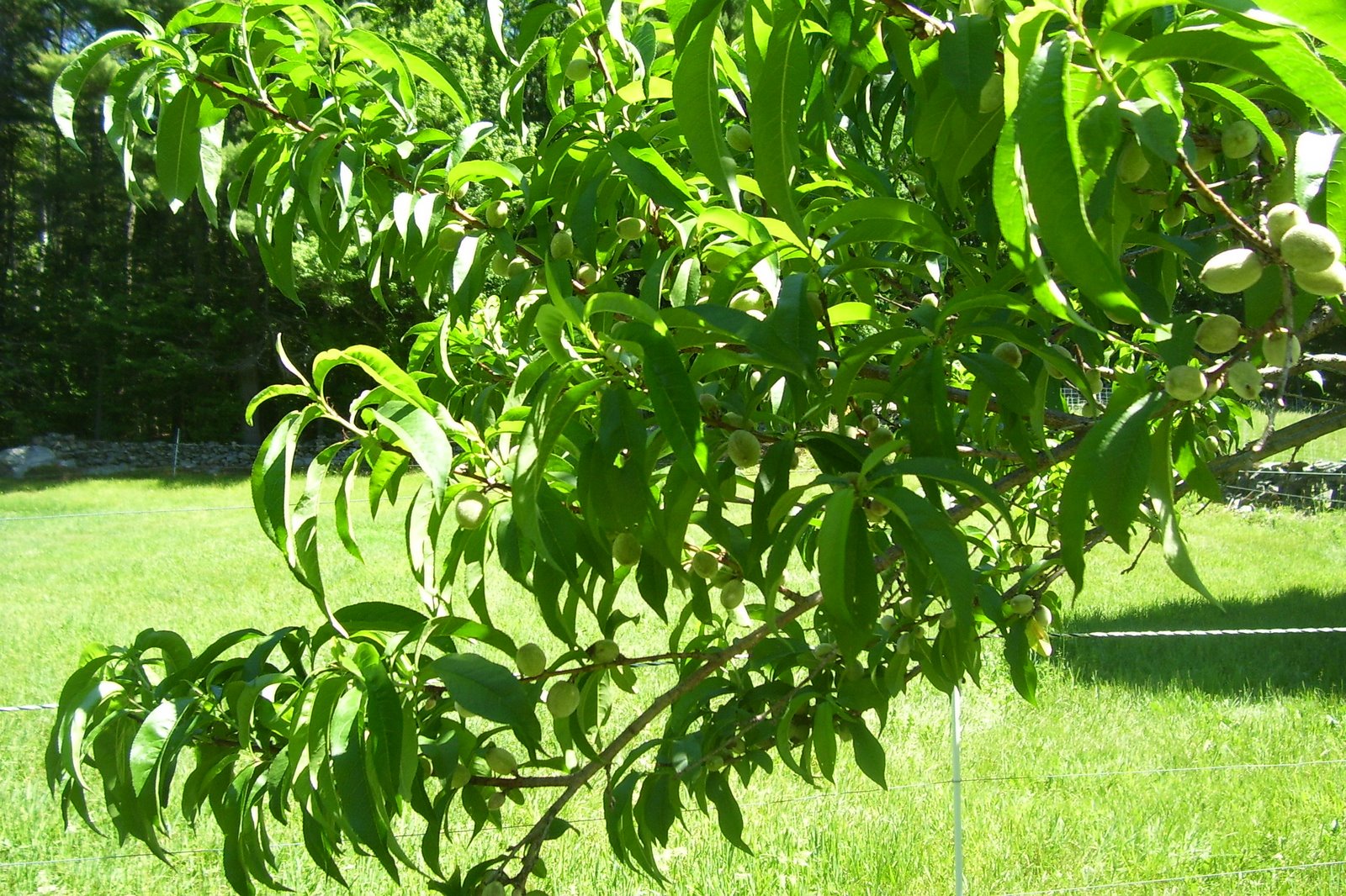 [Spring+2008+220.jpg]