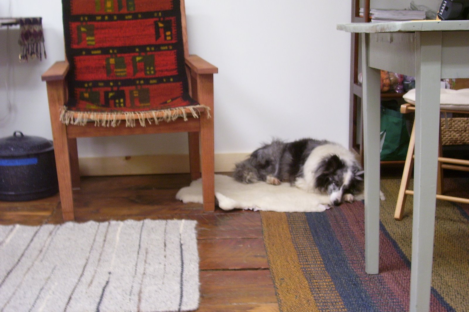 [Shelley+napping.jpg]