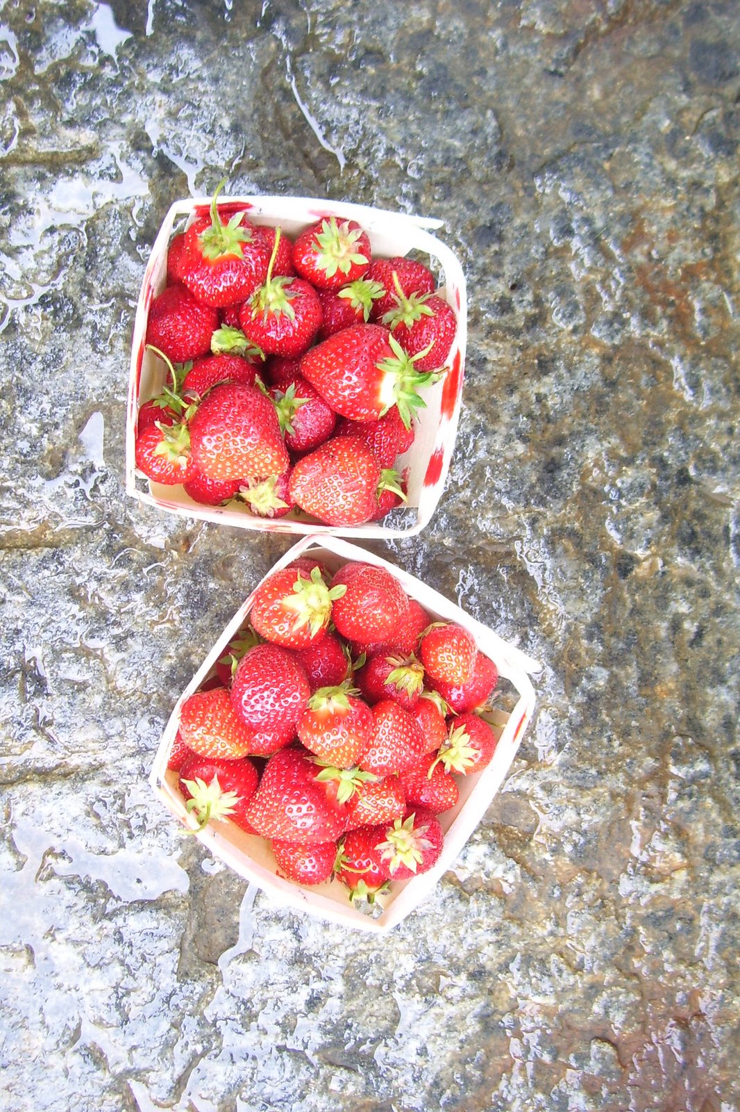 [Summer+2009+012.jpg]
