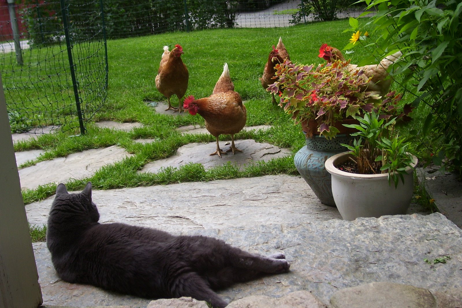 [fast+friends.jpg]