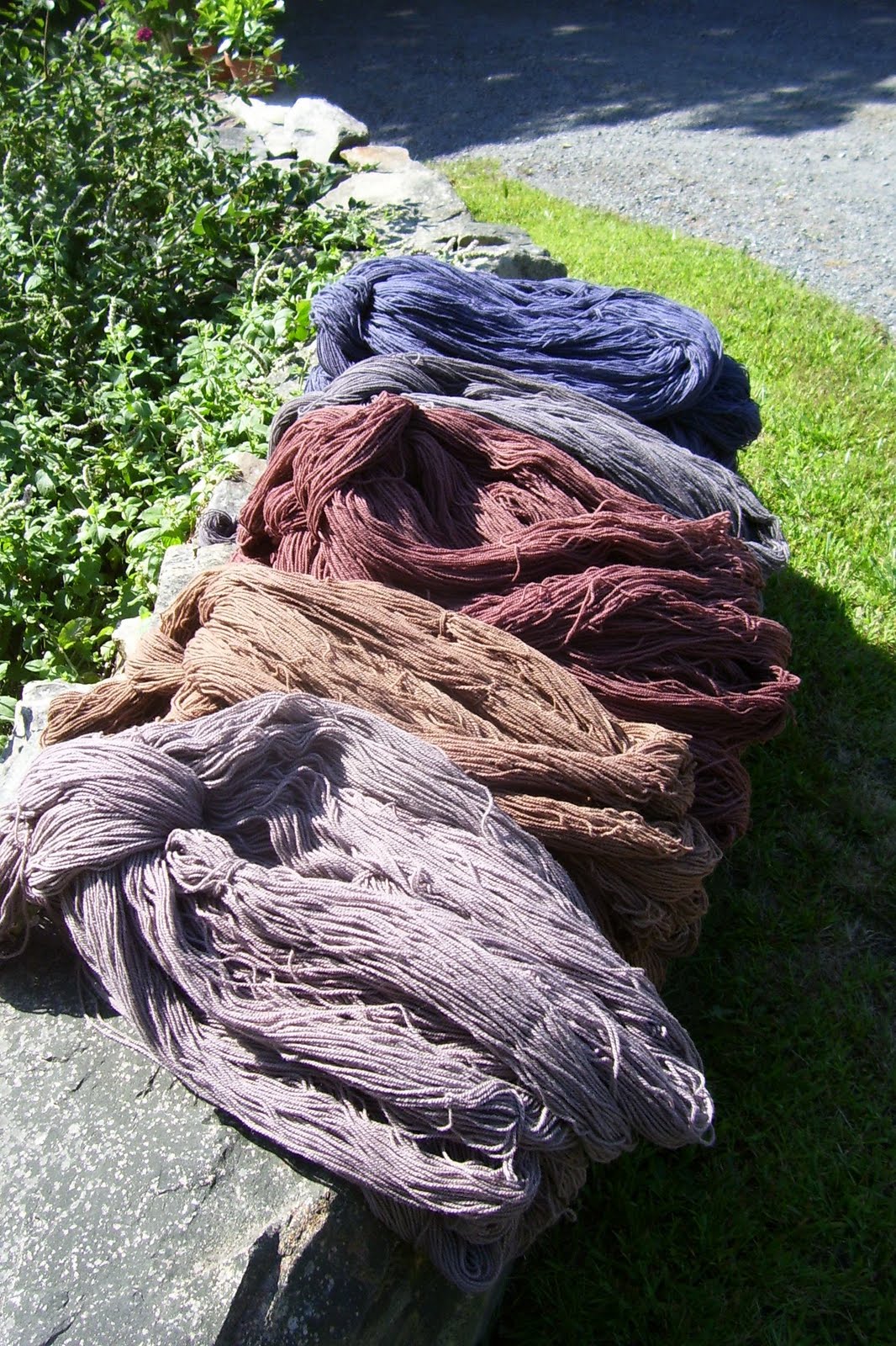 [dye+order+2.jpg]
