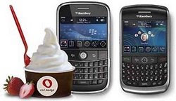 Survey Red Mango berhadiah Blackberry