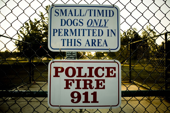 Small/timid dogs only permitted...