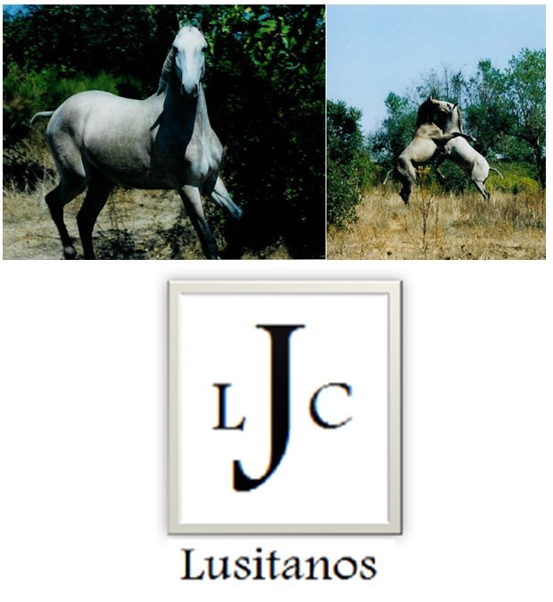 JLC Lusitanos