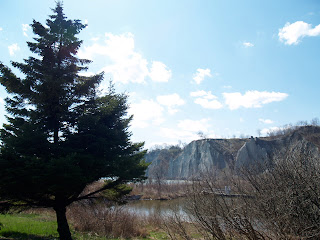 the bluffs