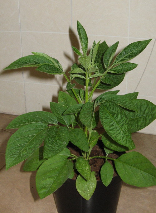[IMG_1890.jpg]