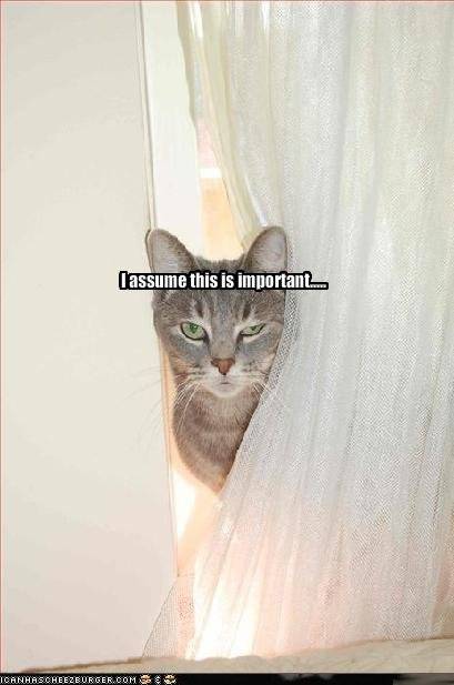 [get-attachment-13.aspx.jpeg]