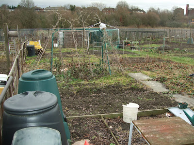 Allotment+042.JPG