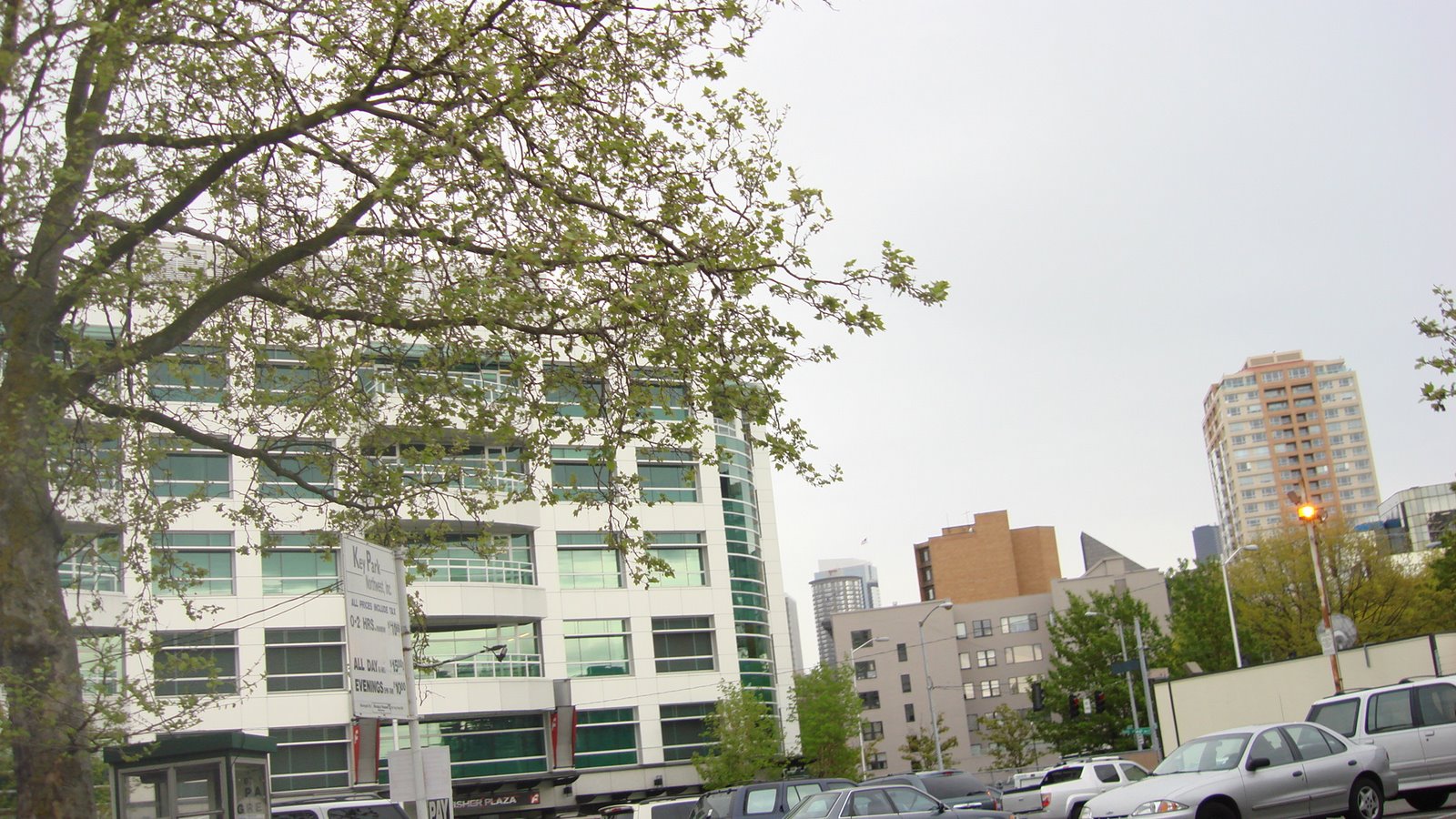 [DSC02988.JPG]