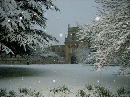 [oxford-neve.jpg]