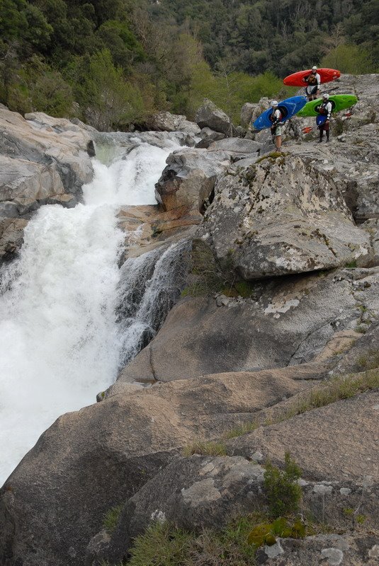 [upper+riz+prenaska_resize.JPG]