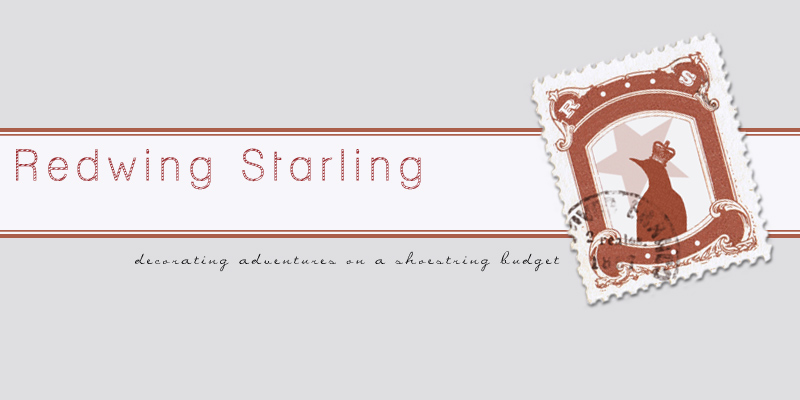 Redwing Starling