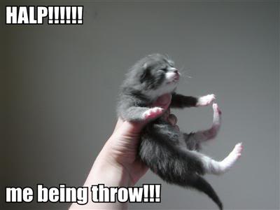 [Conan+O'Brien+LOLCat.jpg]