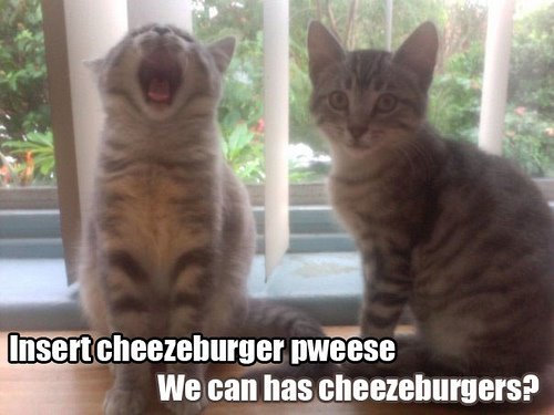 [Cheezeburger+LOLCats.jpg]