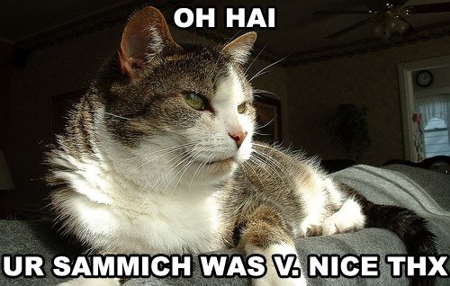 [LOLCats3.jpg]