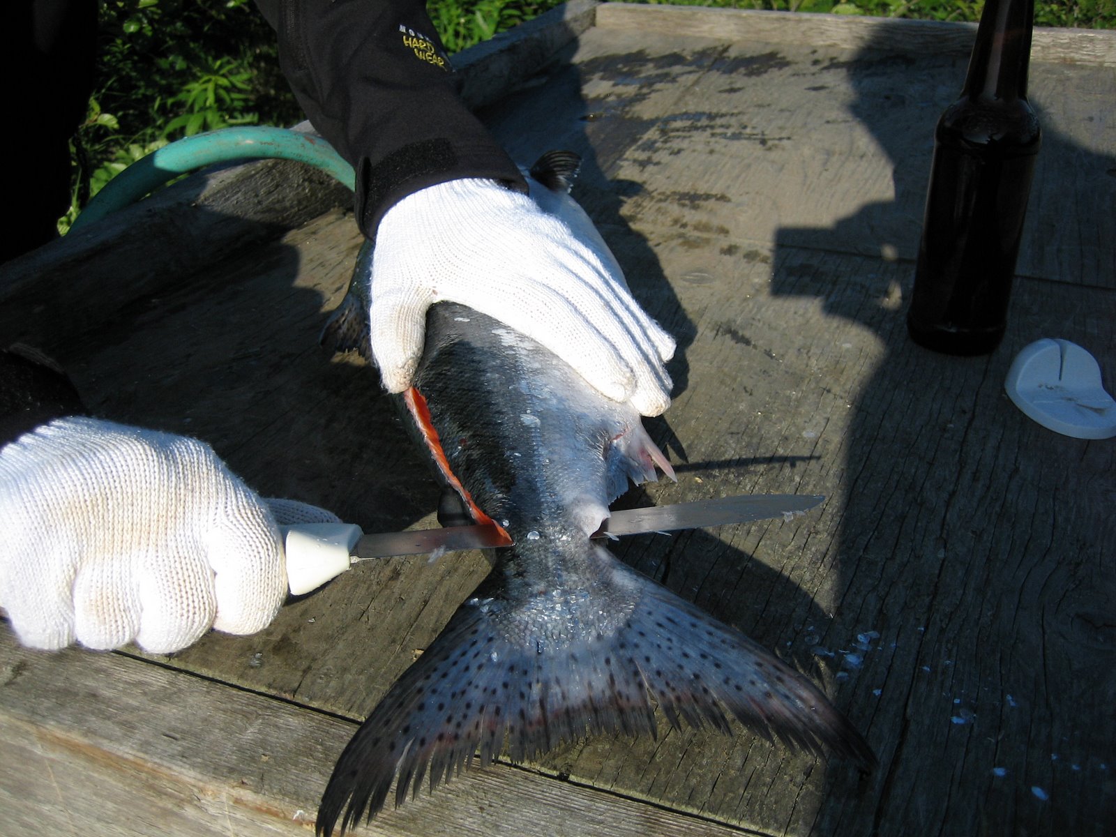 [IMG_4812.JPG]