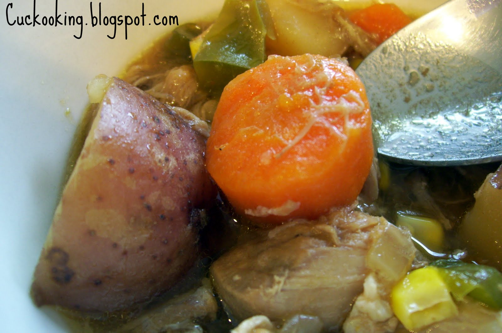 Cooking Creation Pork Stew in the Crock Pot