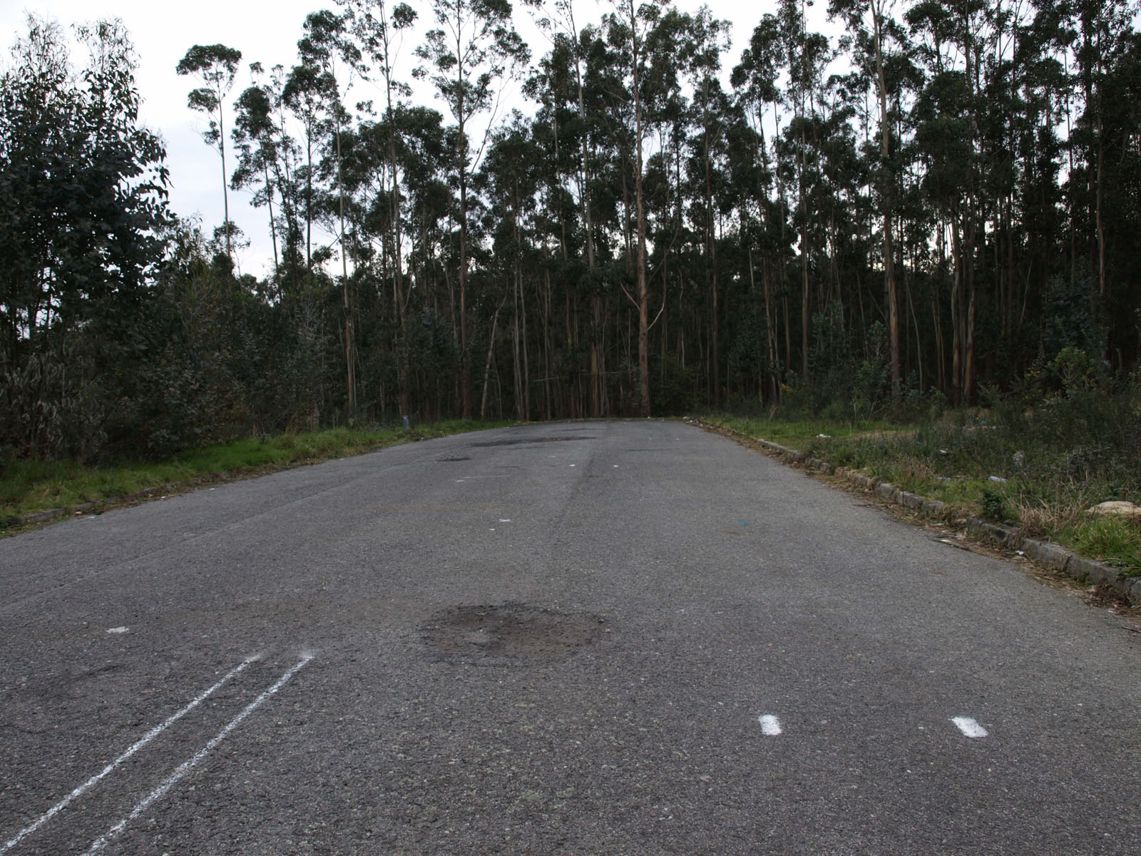 [P2163836.JPG]