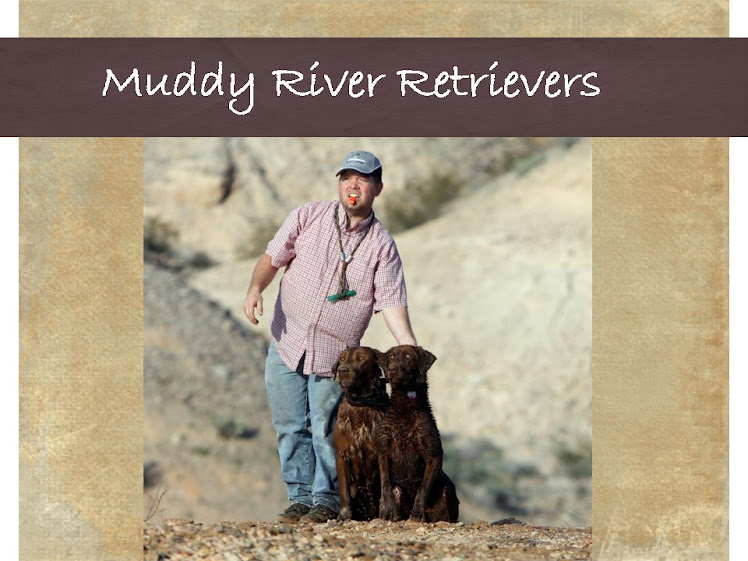 muddy river retrievers