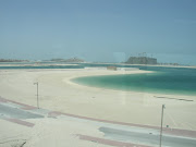 A picture of one of Palm Tree Island's Fronds.