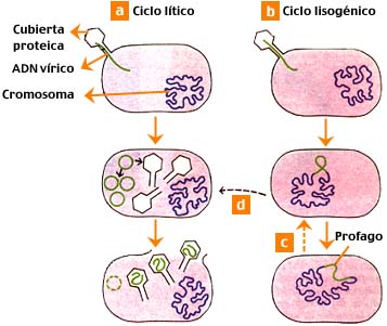 [7a53dc34b17filenameD1106typeimagejpeg.jpg]