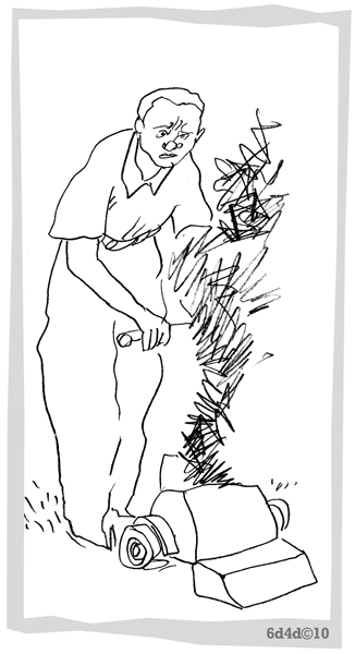 [grass.gif]