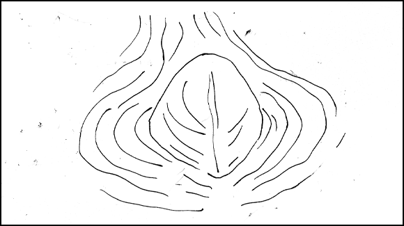 [008.gif]