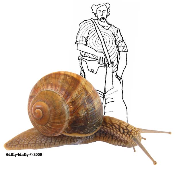[caracol.jpg]