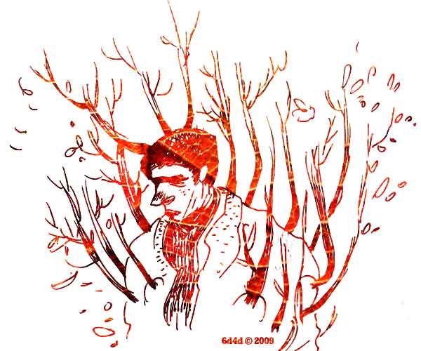 [autumm-falling.jpg]