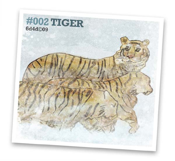 [002TIGER.jpg]