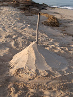 Pit roast - Fins beach