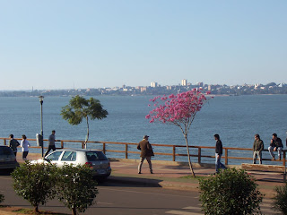 north face costanera