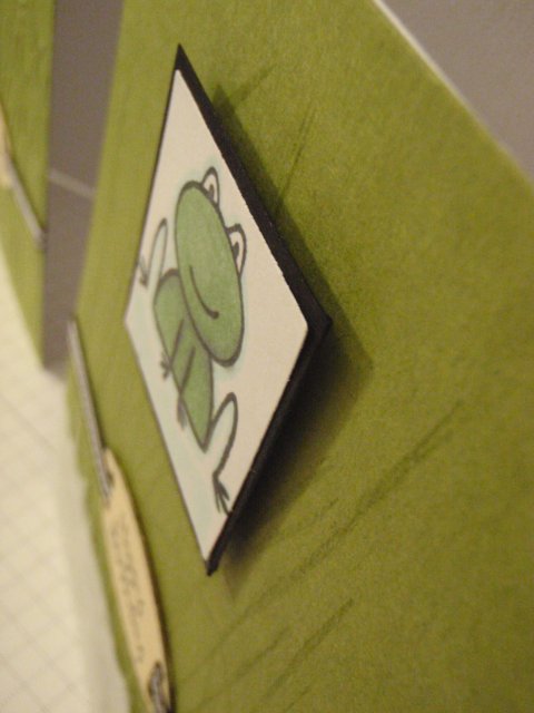 [close+up+frog.jpg]