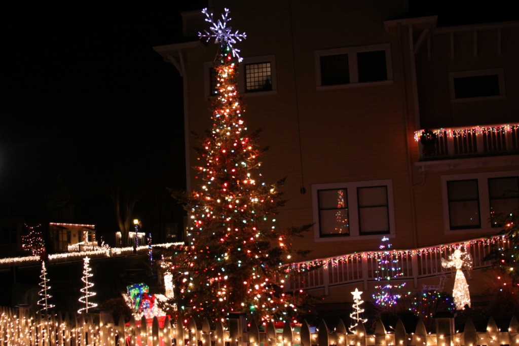 "Life's a Gamble" Christmas Lights part 2