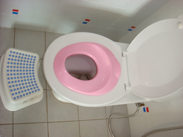 portable potty seat. simple portable potty seat