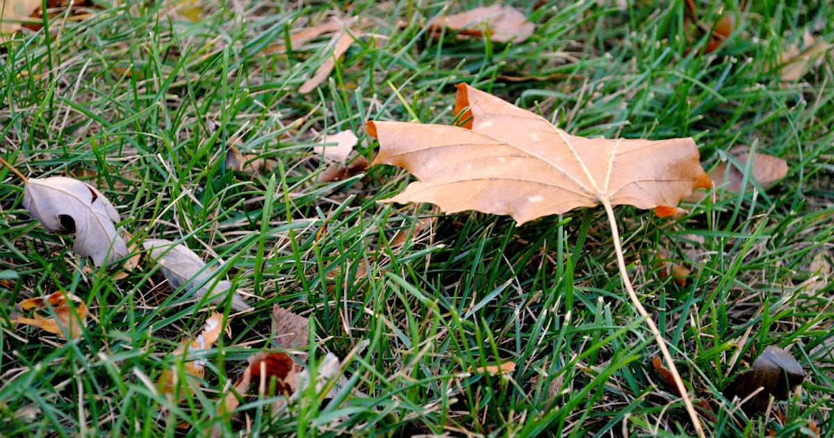 November 1st