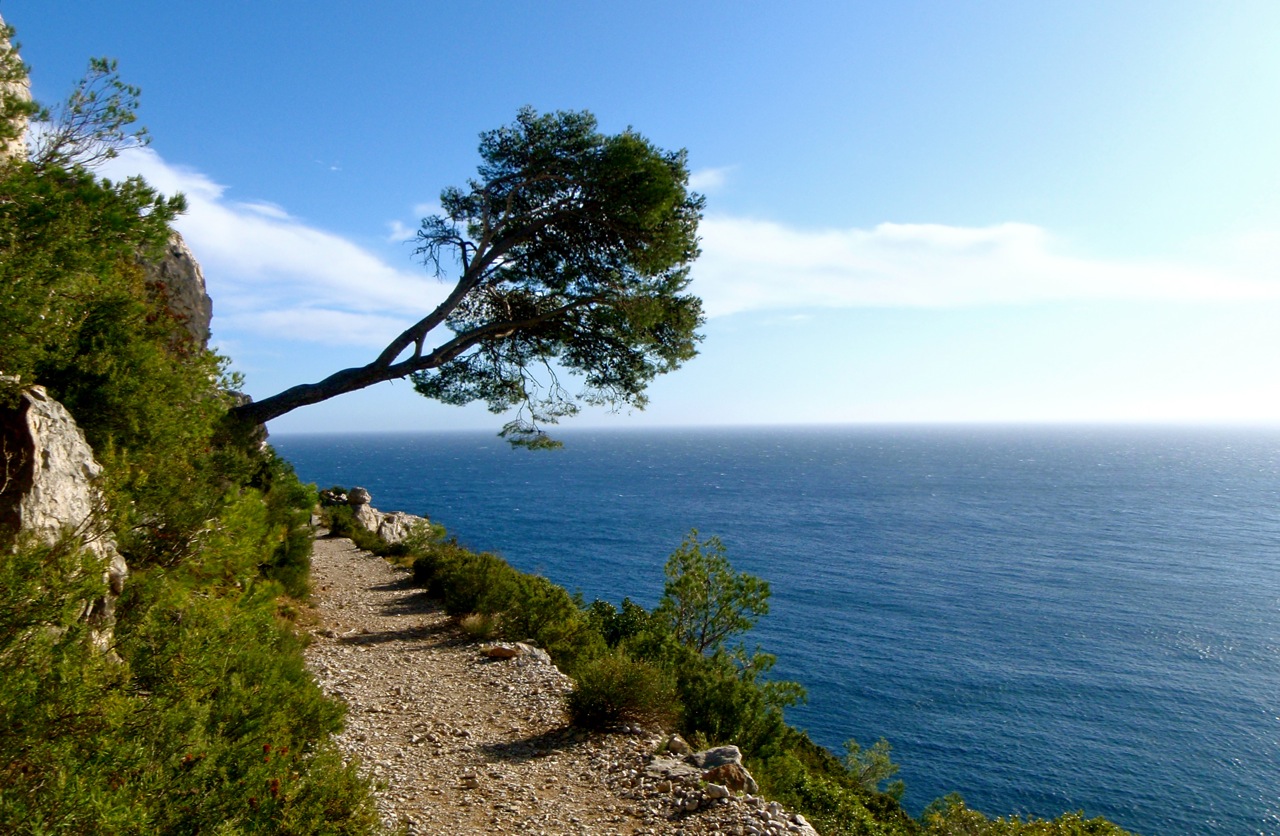[calanques-20.jpg]