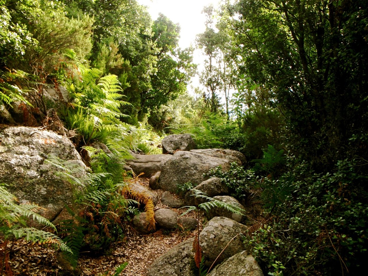 [col+stgeorges4.jpg]