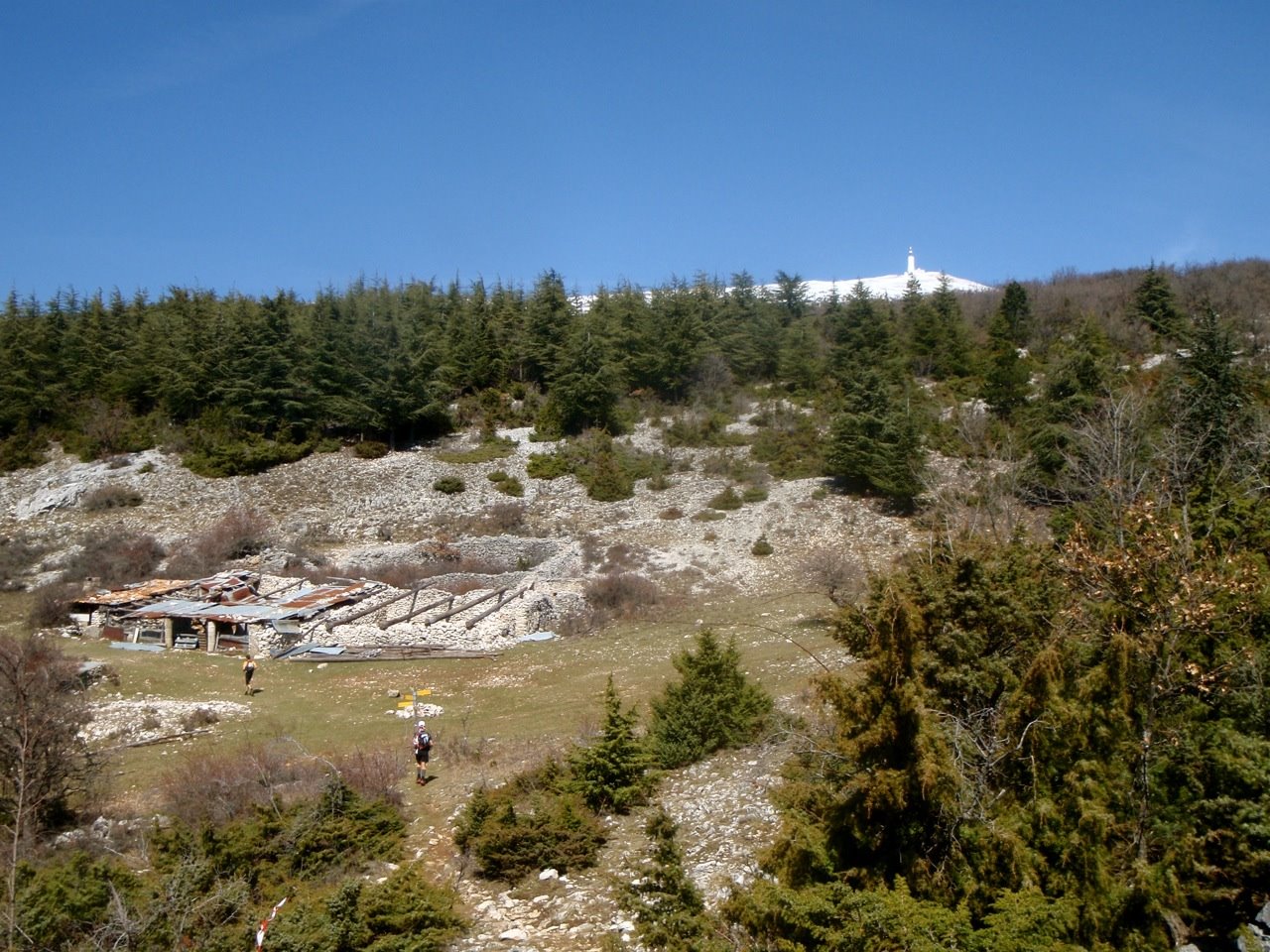 [trailventoux20.jpg]